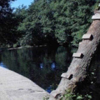 images/near/praia-spaulo.jpg#joomlaImage://local-images/near/praia-spaulo.jpg?width=335&height=335